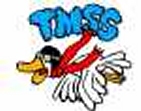 Tidewater Model Soaring Society